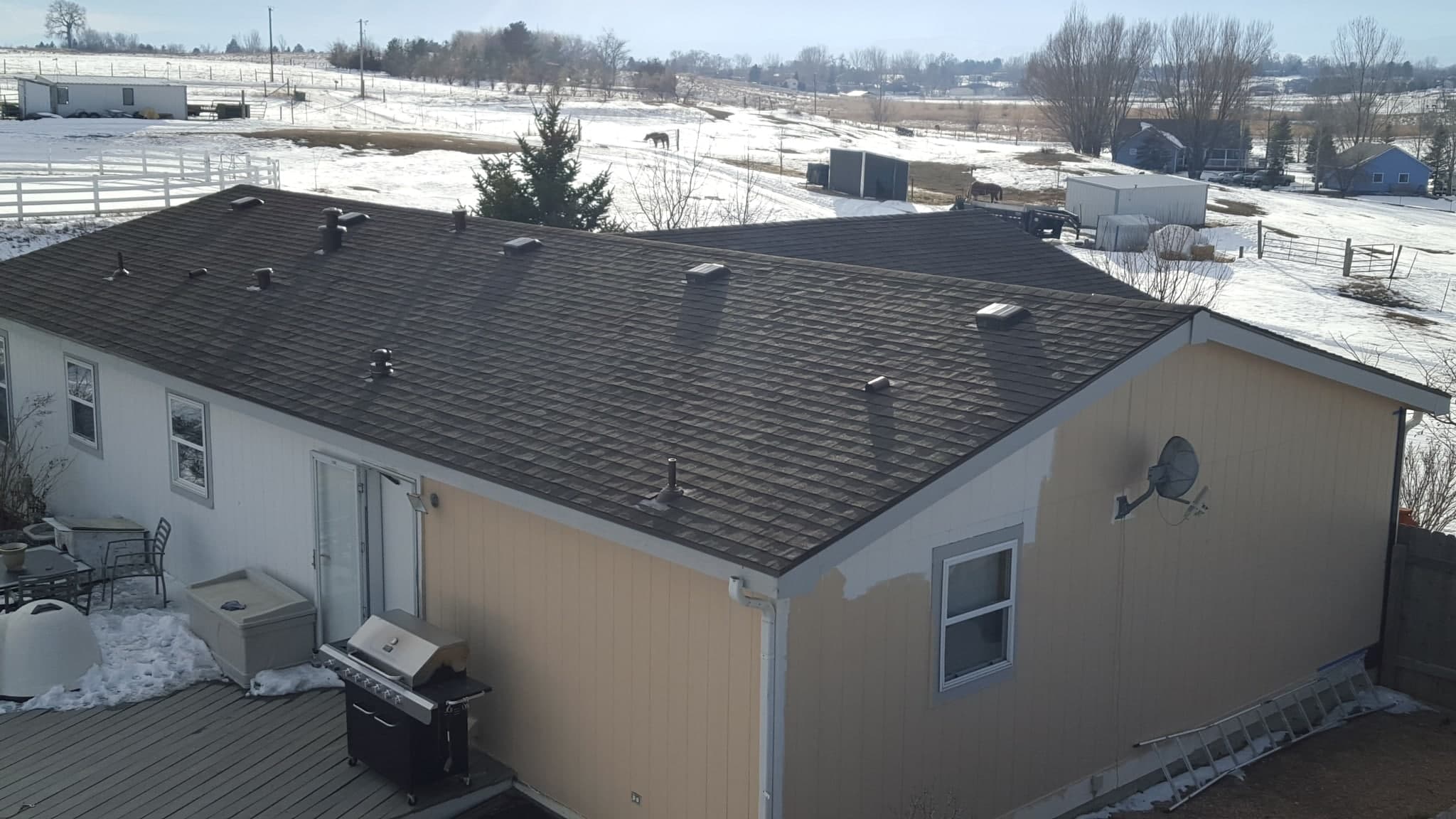 Top 5 Things Fort Collins Homeowners Need to Know About Their Roofs